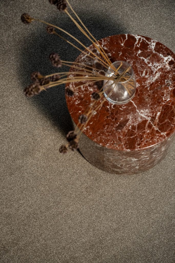 Coco Bliss - Euphoria