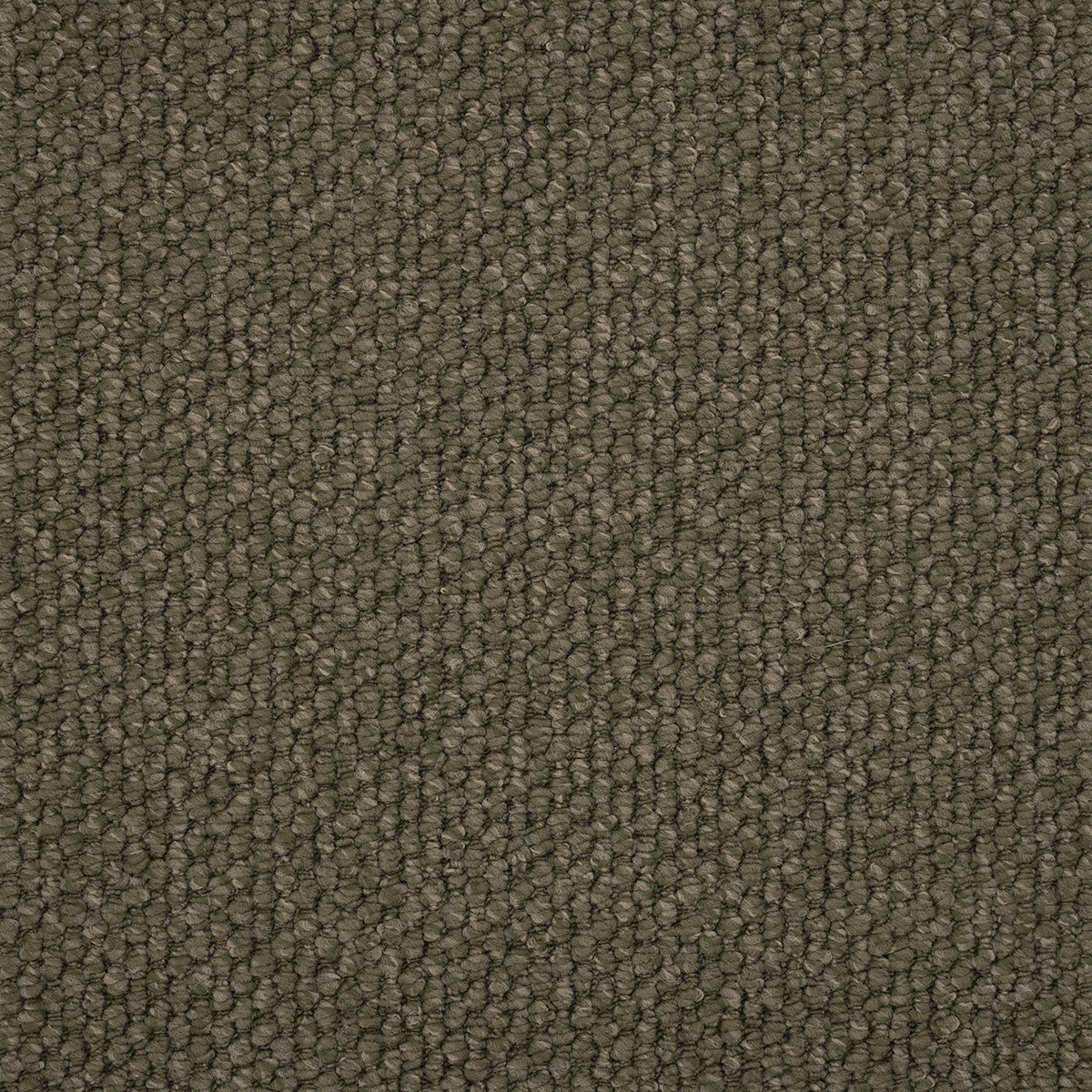 Tanderra swatch