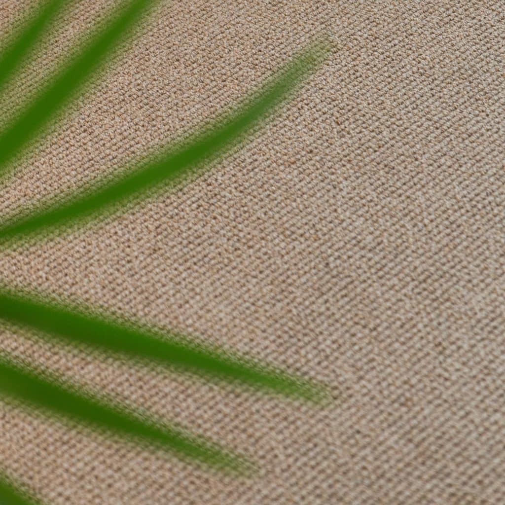 Bahamas - Barbados 1